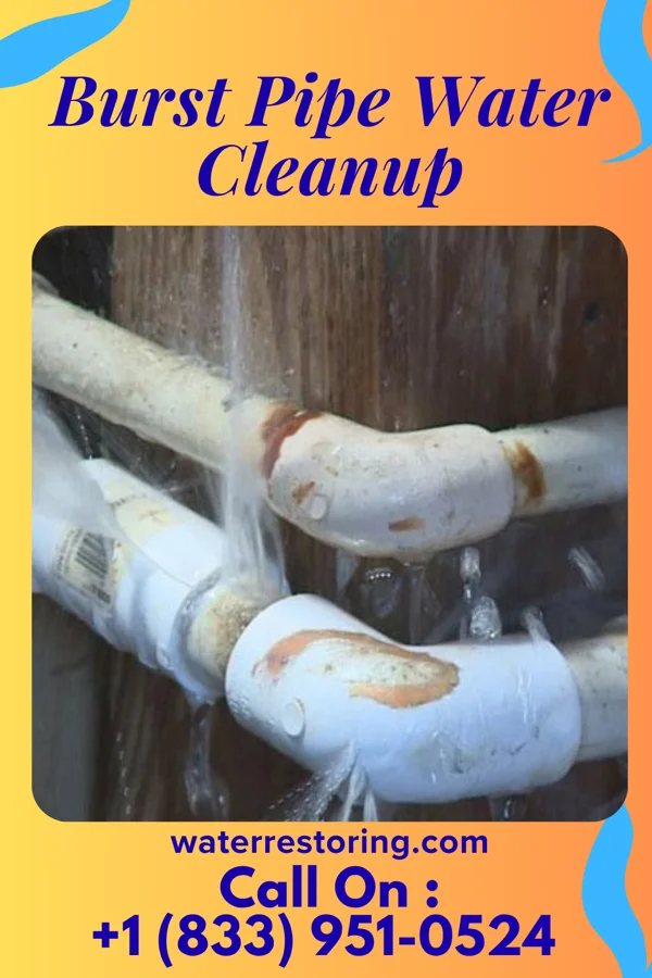 Burst Pipe Water Cleanup in Lockport Heights, LA