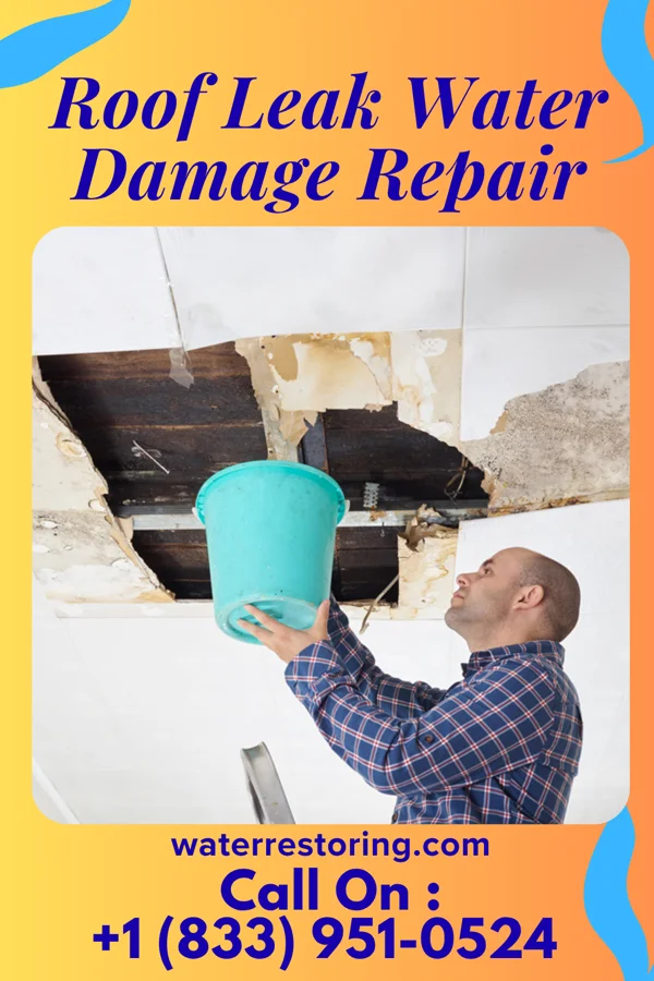 Roof Leak Water Damage Repair in Lockport Heights, LA